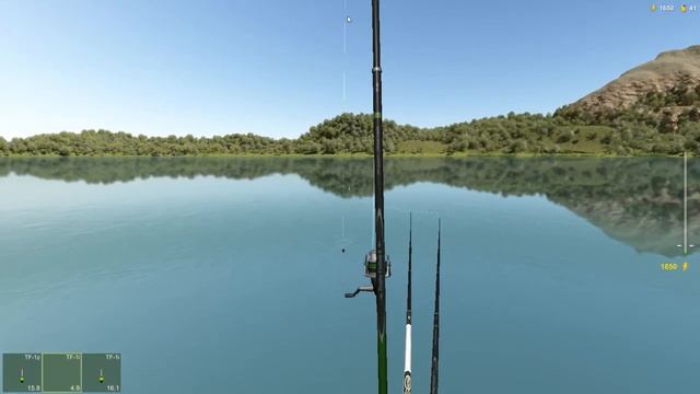 достижение Атеринообразные, игра Трофейная рыбалка 2, локация Озеро Джад Перез