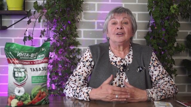 Лук - сорта и вредители. Как вырастить Лук из севка - Hitsad TV смотреть онлайн