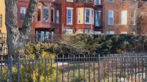 Манхэттен  Бруклинский мост