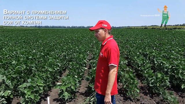 Полевой вестник BASF – выпуск 11 от 10.07.2019: системы защиты сои. АгроЦентр BASF Краснодар. смотреть онлайн
