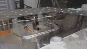 Маркировка жетонов из нержавейки, лазером