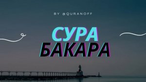 Сура Аль-Бакара от сглаза и порчи для очищения дома.КРАСИВОЕ ЧТЕНИЕ КОРАНА #бакара #сурабакара