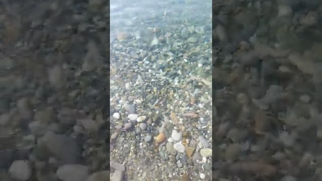 Море, море мир бездонный...