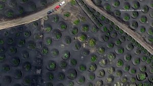 Канарские острова: все самое лучшее для туристов.