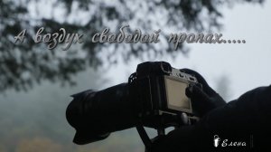 А воздух свободой пропах*    Bryan Adams  ( Everything I Do) I Do for You (Ladynsax Cover)