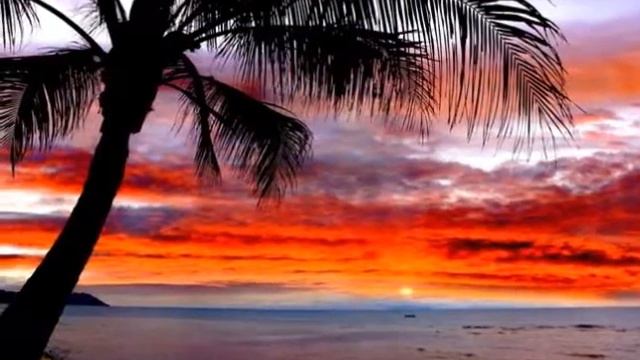 Beauty of sunset (Красота заката)