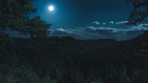 Отпускаем Мысли/Аутотренинг на сон/Полушёпот/АСМР/Сон. Борьба с Бессонницей. Расслабление.