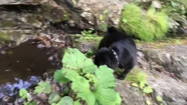 Ольгин водопад,которого нет! смотреть онлайн