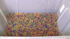 Орбизы (Орбис) что с ними делать? 1m Orbeez