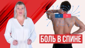 Боль в спине.  Межпозвонковые грыжи и протрузии