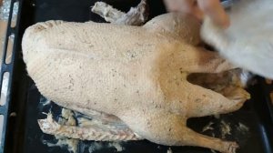 ГУСЬ ЗАПЕЧЕННЫЙ В РУКАВЕ. РОЖДЕСТВЕНСКИЙ ГУСЬ