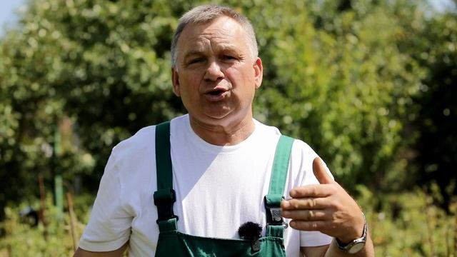 Все секреты мульчирования почвы