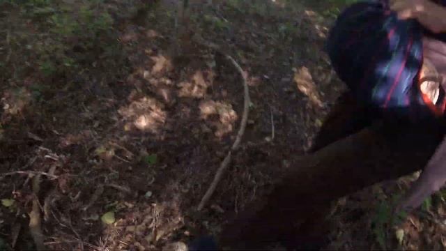 гриб зонтик\ПАРАСОЛЬКА ЯДОВИТІ ТА ЇСТІВНІ!!!!!!! ЯК НЕ СПЛУТАТЬ? смотреть онлайн