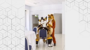 Какие виды фурсьютов существуют? Сегодня я вам об этом расскажу ! Фурри это невероятно круто!!!