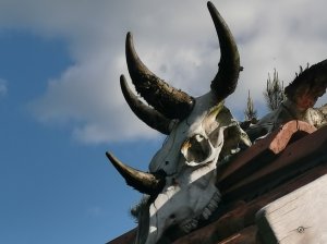 п. Новосадовый