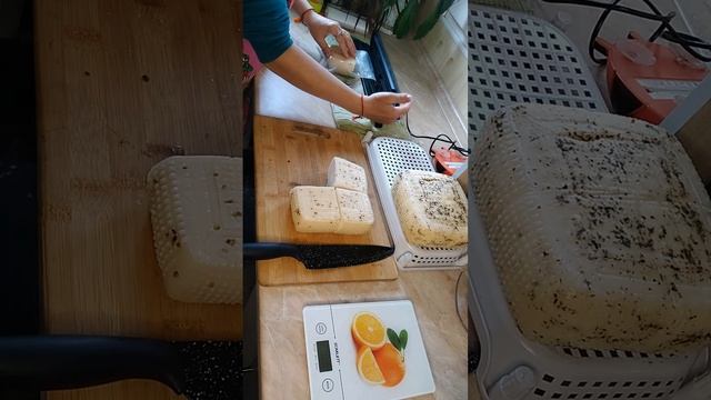 Сыр Качотта на козьем молоке