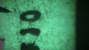 МАГНИТНЫЕ СПЕКТРЫ.ФИЗИКА.ХРОНИКА