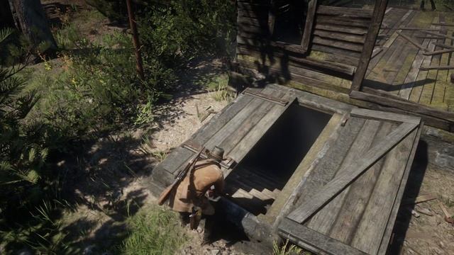 SERIAL KILLER in Red Dead Redemption 2 FOUND! RDR2 Killer Mystery Map Locations! смотреть онлайн