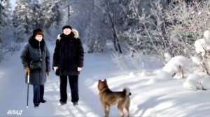 ЗИМА (НОСТАЛЬГИЯ)