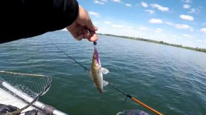 Открытие сезона. Белое озеро. 14.06.22.