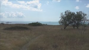 Керчь, пляжи Старого Карантина. 01.08.24