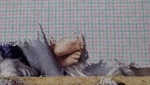 ВЫШИВКА ПО ЗАСЛУГАМ || МНОГОЦВЕТНАЯ ВЫШИВКА КРЕСТОМ И ГОБЕЛЕНОМ