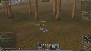Топ кач 50-65 на парках вдвоем за Тира, Глада, Танка, Гнома, ВЛа в Lineage 2 Essence, спойла, кравт