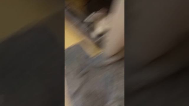 Как почистить фильтр в стиральной машинке. Zanussi ZWY 51024WI