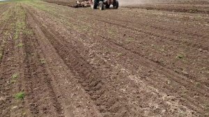 культивация МТЗ-50 и кпс-4