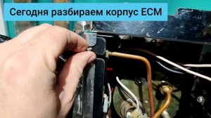 Как разобрать кофемашину на примере ECM