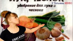 Супер способы выращивания лука на зелень. Как сажать лук на перо.