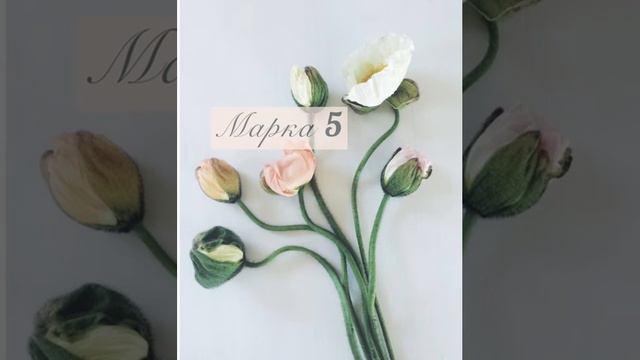 Євангеліє Від Марка. Розділ 5.