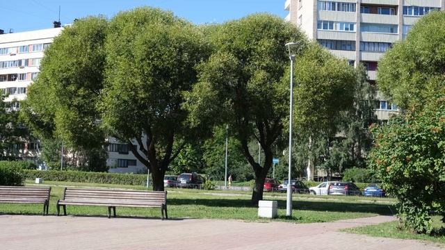Парк на улице Турку, Санкт-Петербург (4К)