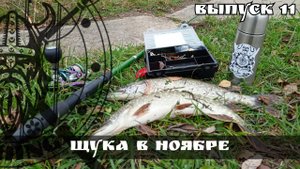 Щука на блесна вертушки. рыбалка в Подмосковье