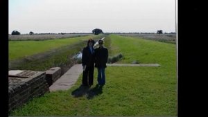 Поездка в Америку. Южная Каролина, США.