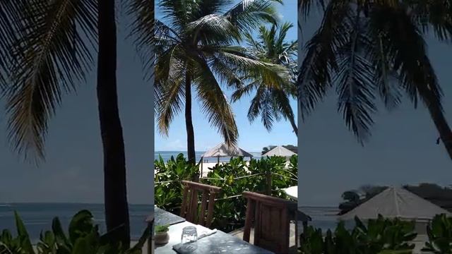 the beautiful view of watamu palm beach restaurant malindi