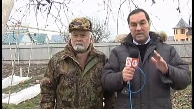 Побелка деревьев 19 07 смотреть онлайн