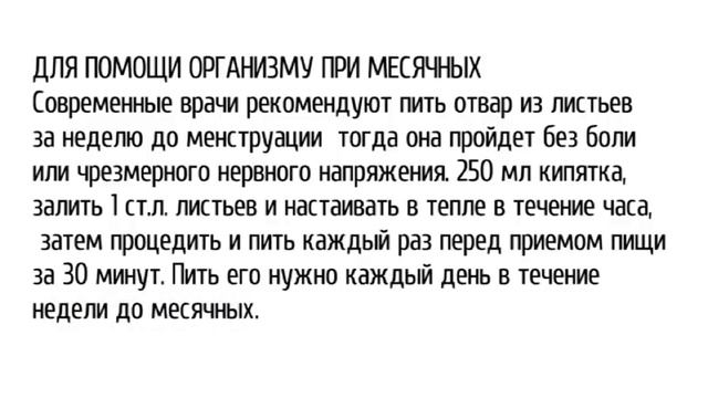 Щавель польза и вред