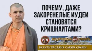 Почему, даже закоренелые иудеи становятся кришнаитами?