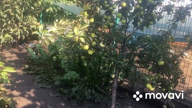 Здесь жила Тута Ларсон ! (Утёнок ) смотреть онлайн