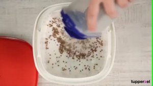 Термосервирователь Tupperware