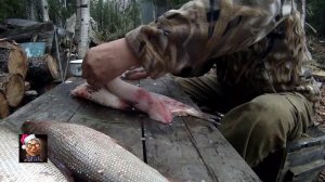 Как разделать щекура на пятиминутку - 2.