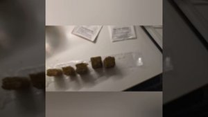 Тест обзор наборов от сеем семена набор для выращивания растений в бутылках