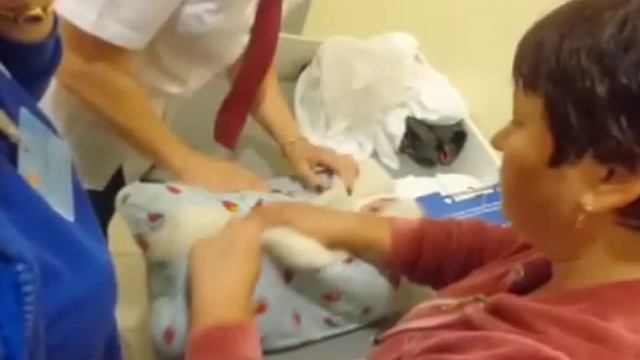 Малыш выжил назло маме смотреть онлайн