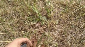 Прокачка скважины вибрационным насосом Тайфун