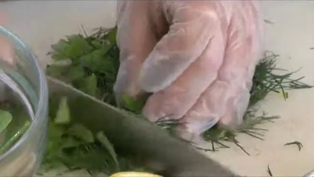 Время собирать кабачки: как выбрать и приготовить этот овощ смотреть онлайн