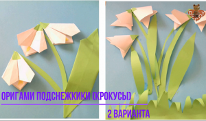 Оригами Подснежники (Крокусы) 2 варианта сложности