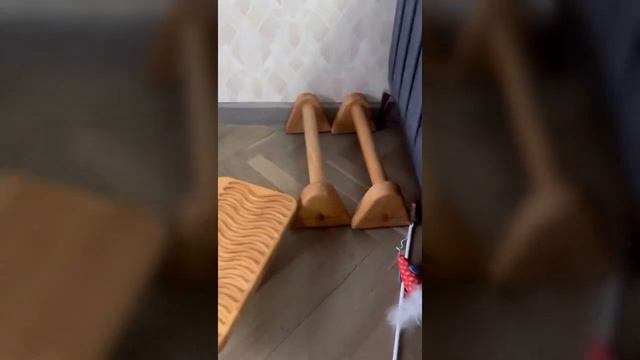 Петр Лупенко делится своими утренними ритуалами!