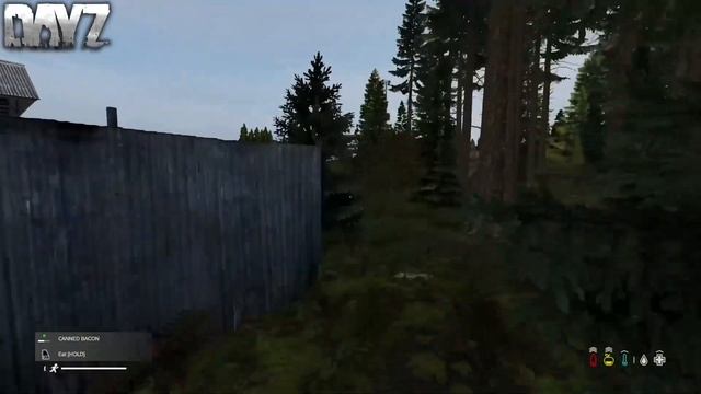 Top 6 Hidden Base Locations In DayZ 1.18 | Chernarus