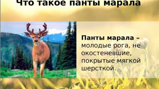 Уход за кожей в летний период. Советы от Батэль
